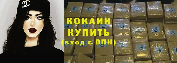apvp Каменка