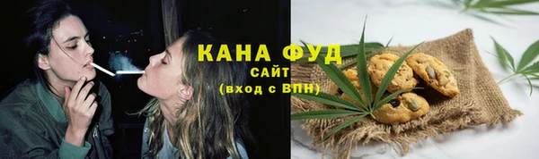 apvp Каменка