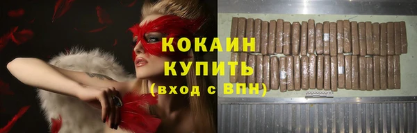 apvp Каменка