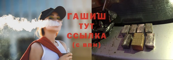 apvp Каменка