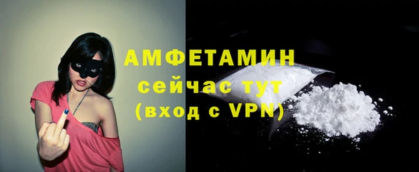 сатива Каменногорск