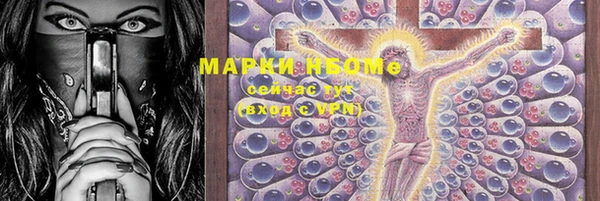 apvp Каменка