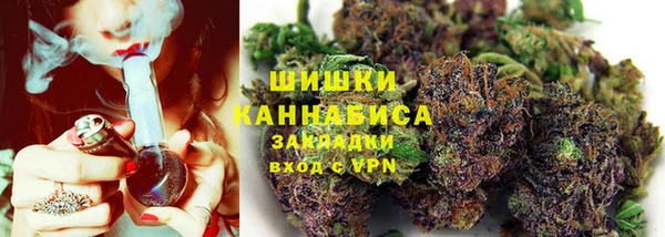 apvp Каменка