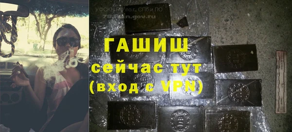 apvp Каменка