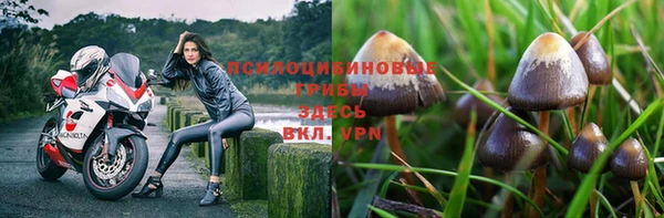 соль курить ск Коряжма