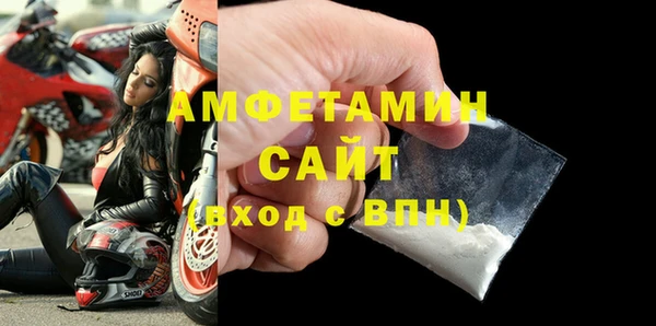 сатива Каменногорск